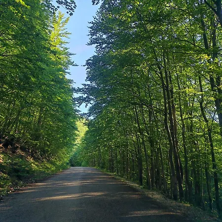 La Del Voltigno Estalagem