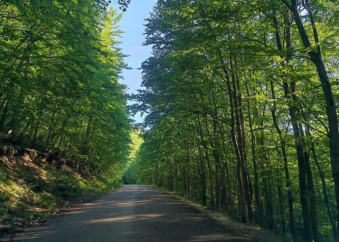 La Del Voltigno Мини-отель